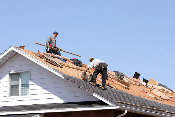 Best Roof Moss and Algae Removal  in Cherry Hill, VA